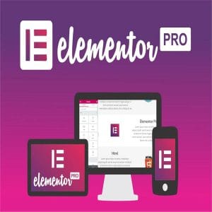 Elementor PRO WordPress Page Builder
