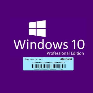 Windows 10 Professional
