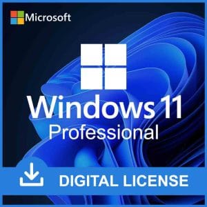 Microsoft Windows 11 Professional
